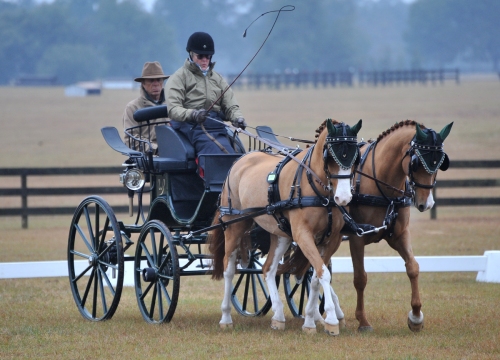 Boots Wright, winner of the Intermediate Pair Pony division