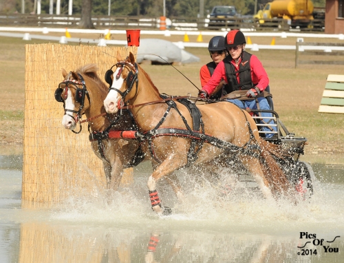 Boots Wright, navigating through the water hazard with her pair of ponies.